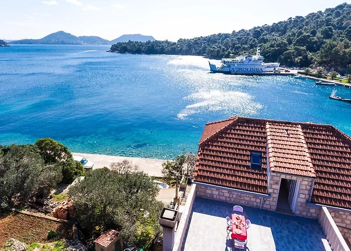 Tonka's Terrace アパート *