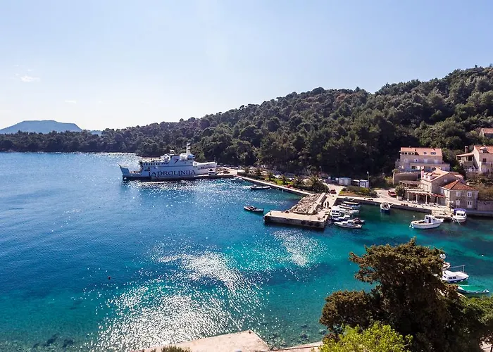 Tonka's Terrace アパート